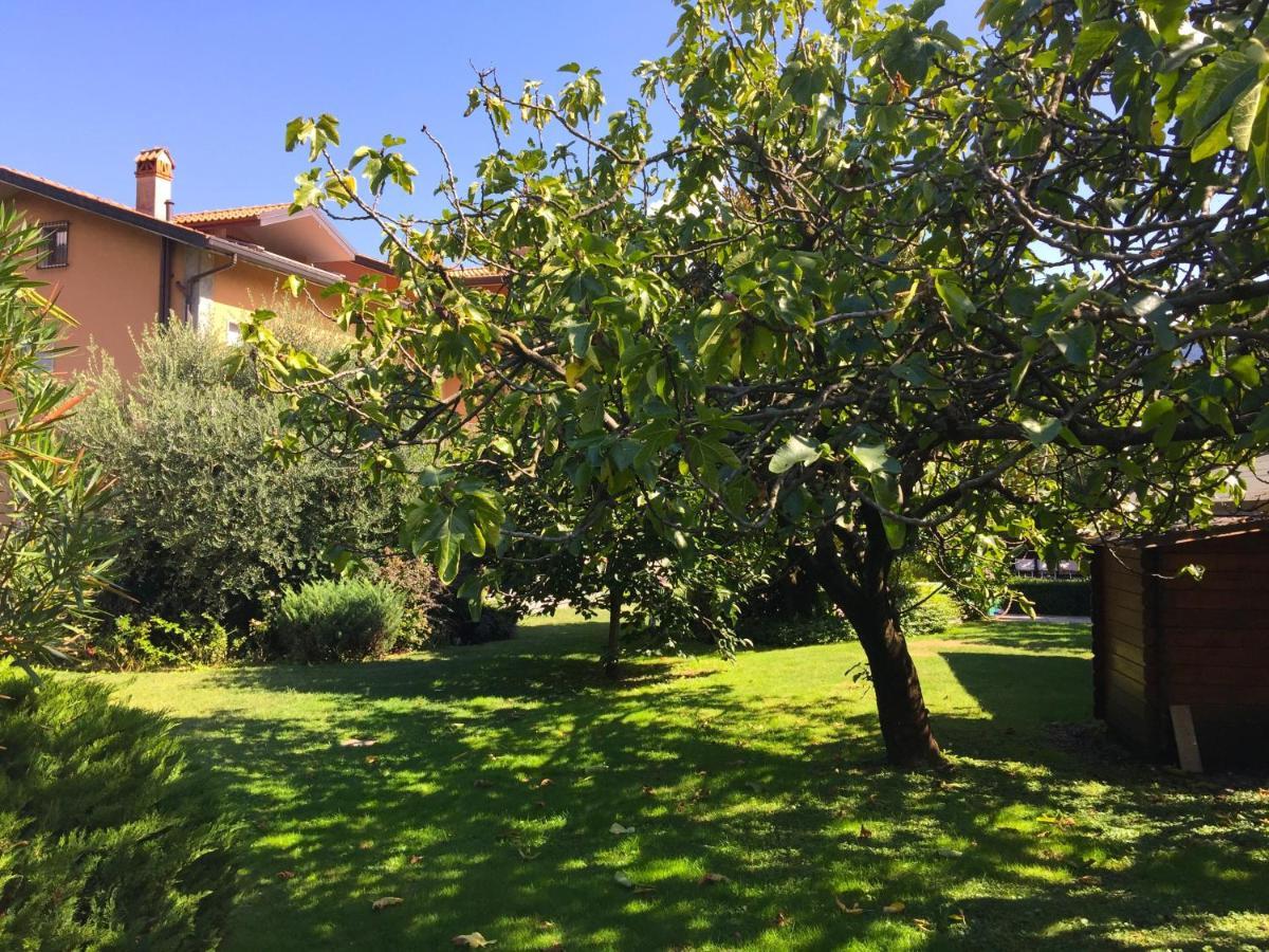 Abies Di Apartment