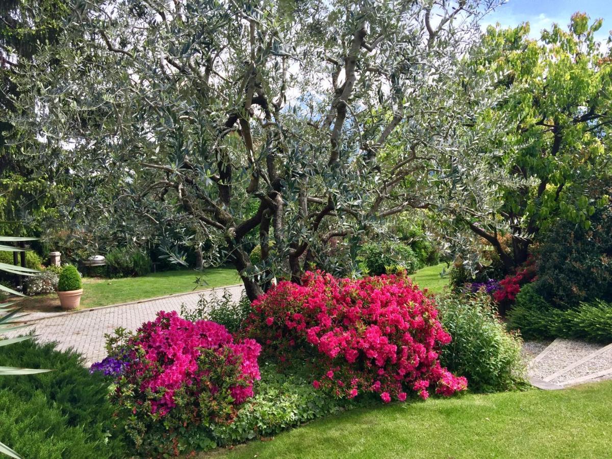 Apartment Abies Di