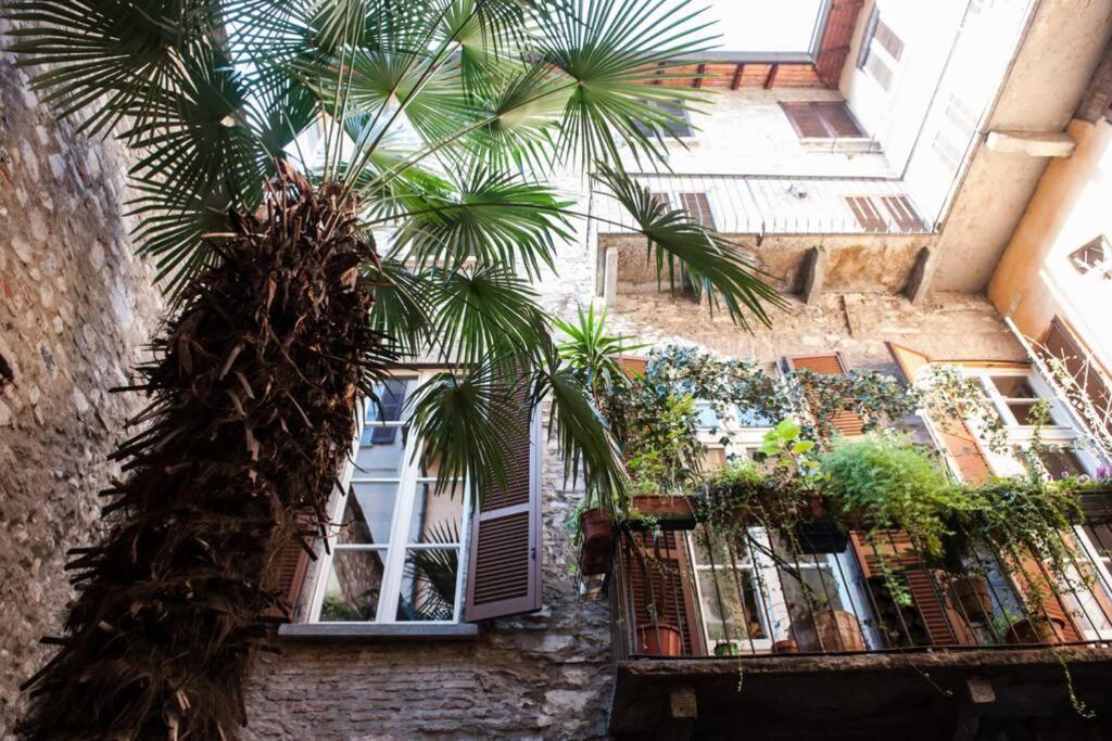 La Casa Di Pietra -by House Of Travelers- Appartamento *