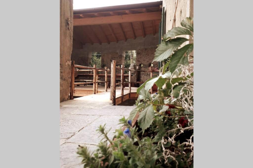 La Ca Del Tuscan * Mandello del Lario