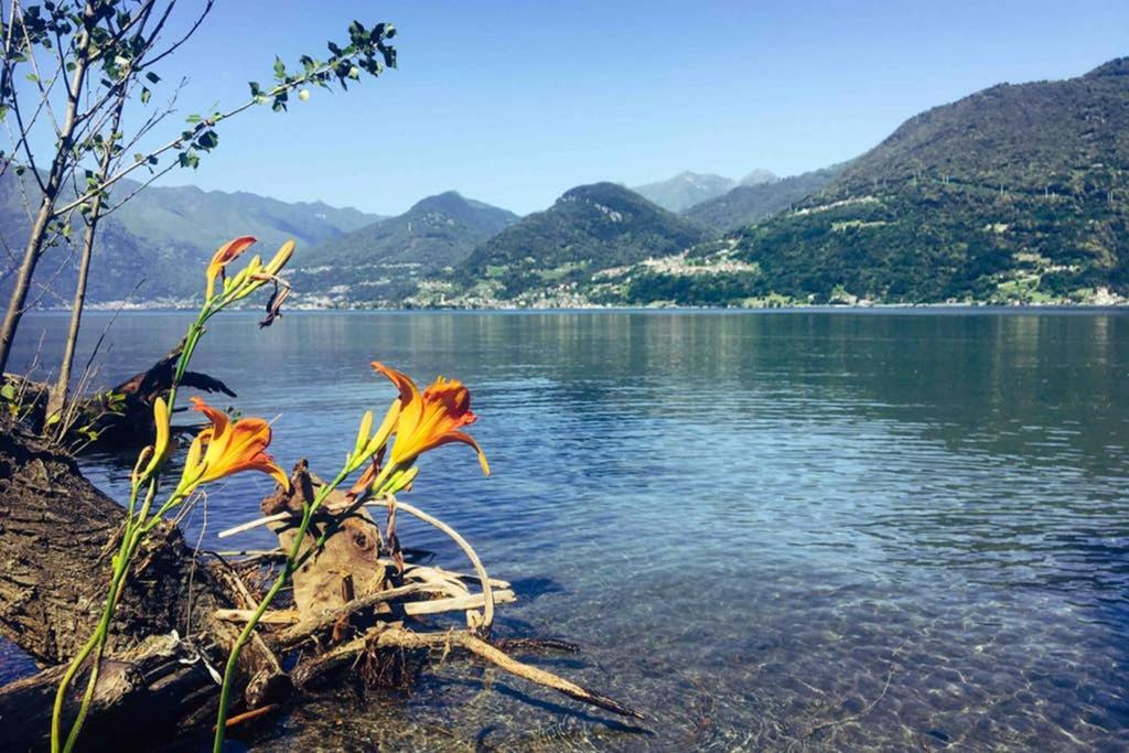 Gera In Love Beautiful View