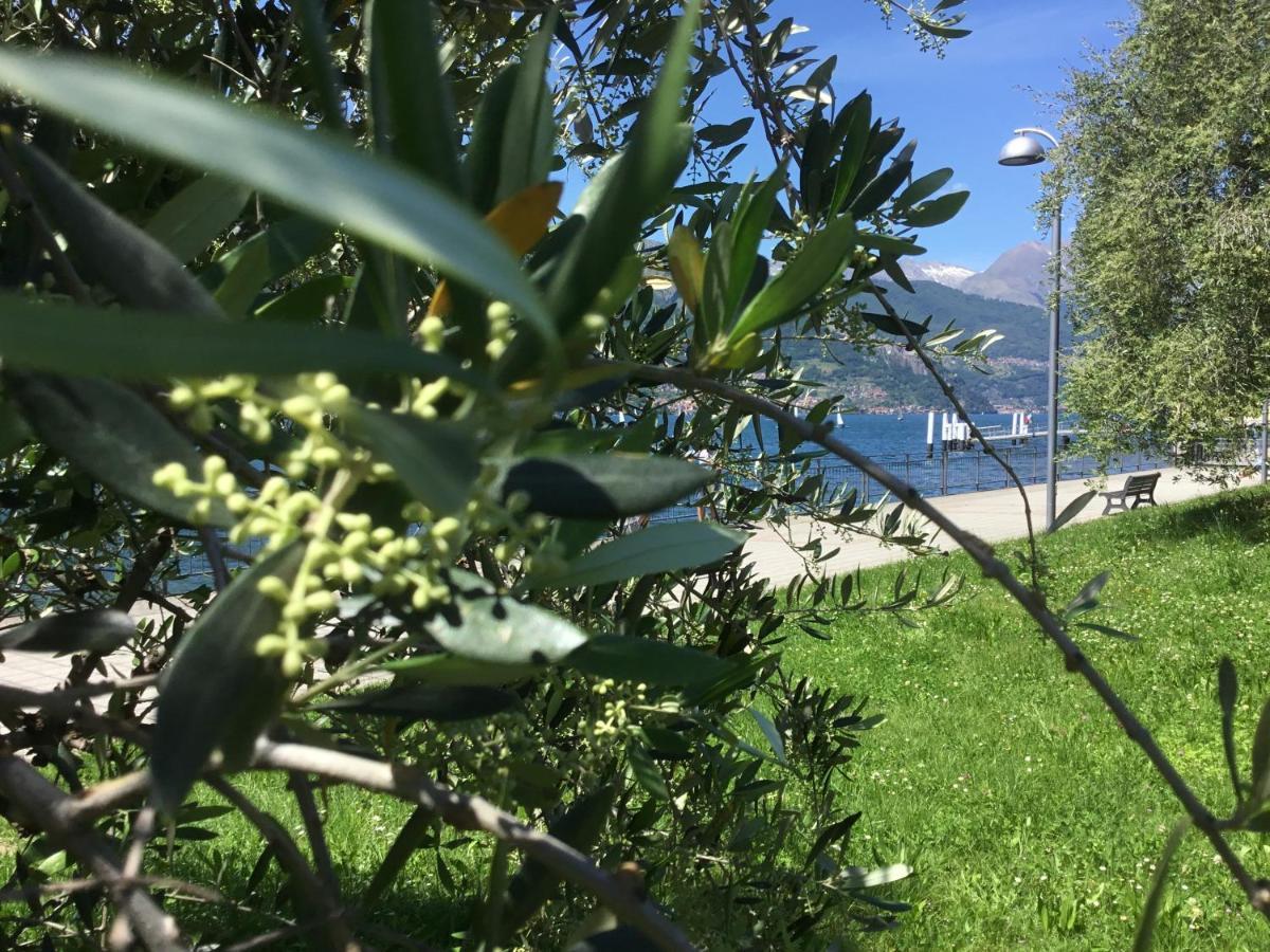 Apartment Comolakehome A Due Passi Dal *