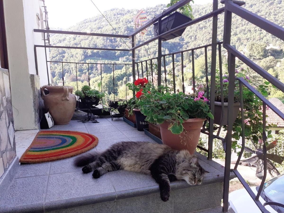 Le Girandole