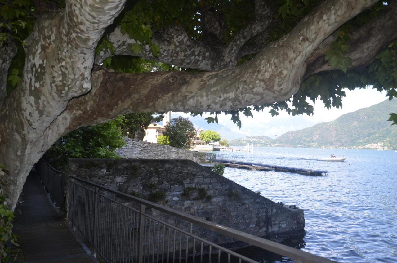 Anma The Secret Garden Pianello Del Lario