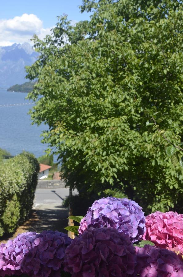 Anma The Secret Garden * Pianello Del Lario