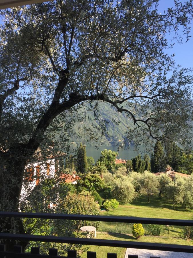 Residenza Margherita