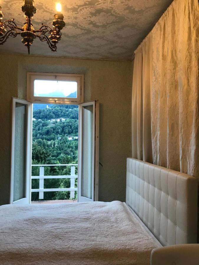 Oleandra Vip With Garden&swimming Pool Dizzasco