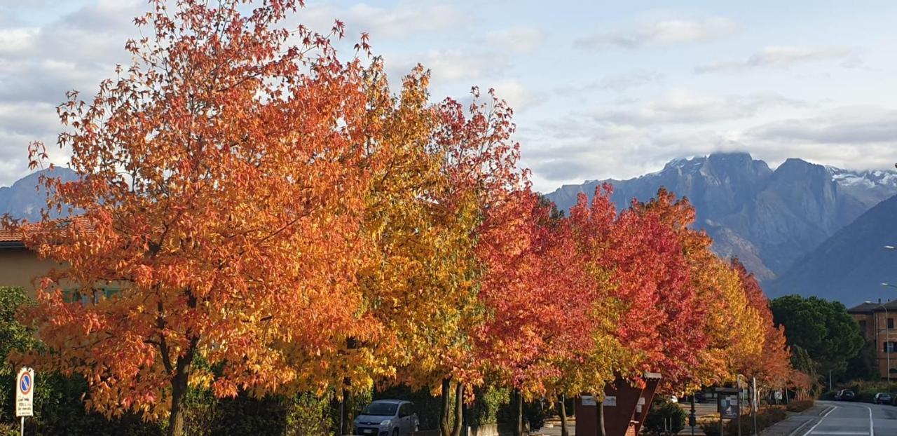 Foreground - Pet Friendly Stay- Garden-parking-lake View- Bike Friendly House Holiday home *