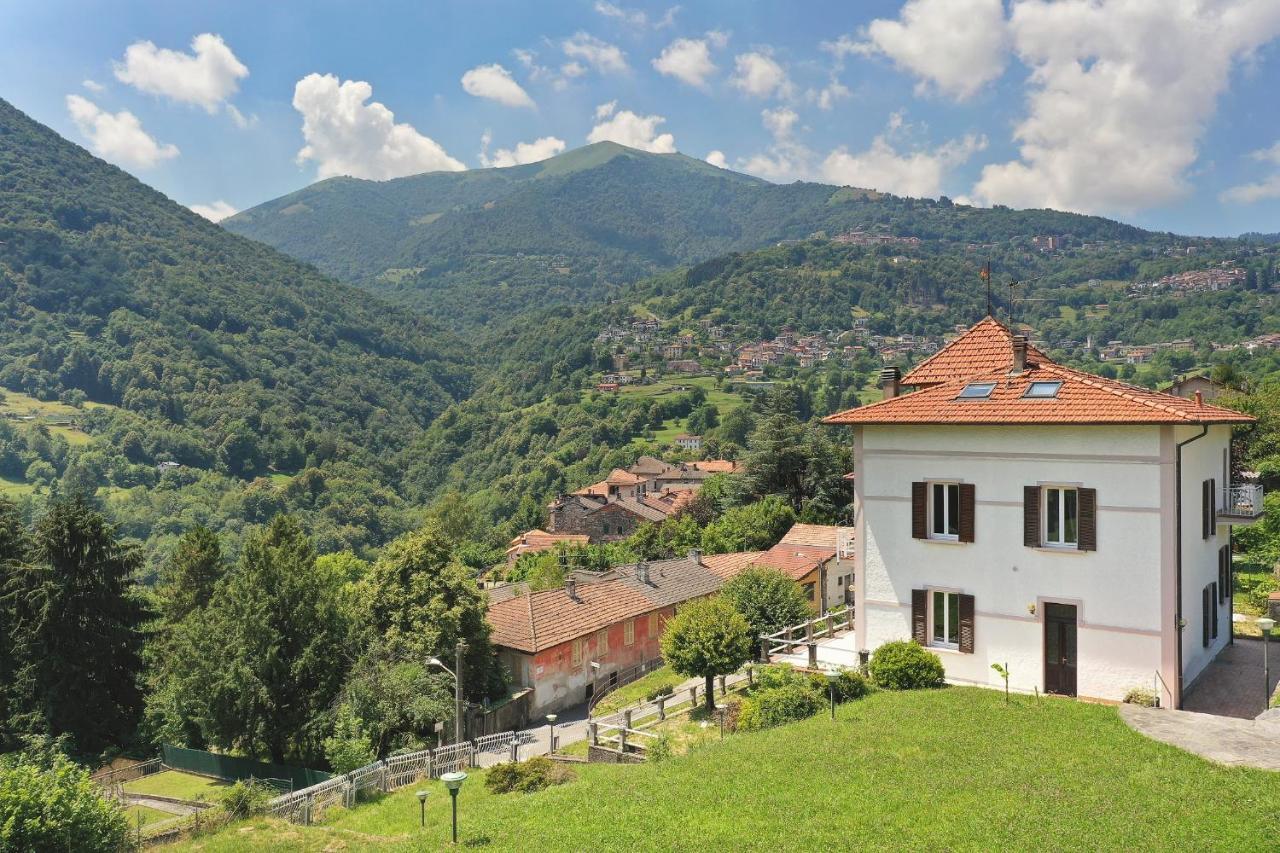 Lodge Oleandra Vip With Garden&swimming Pool Dizzasco