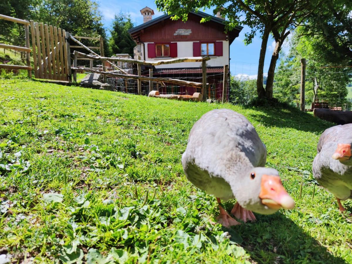 Le Petit Vent Bed & Breakfast *