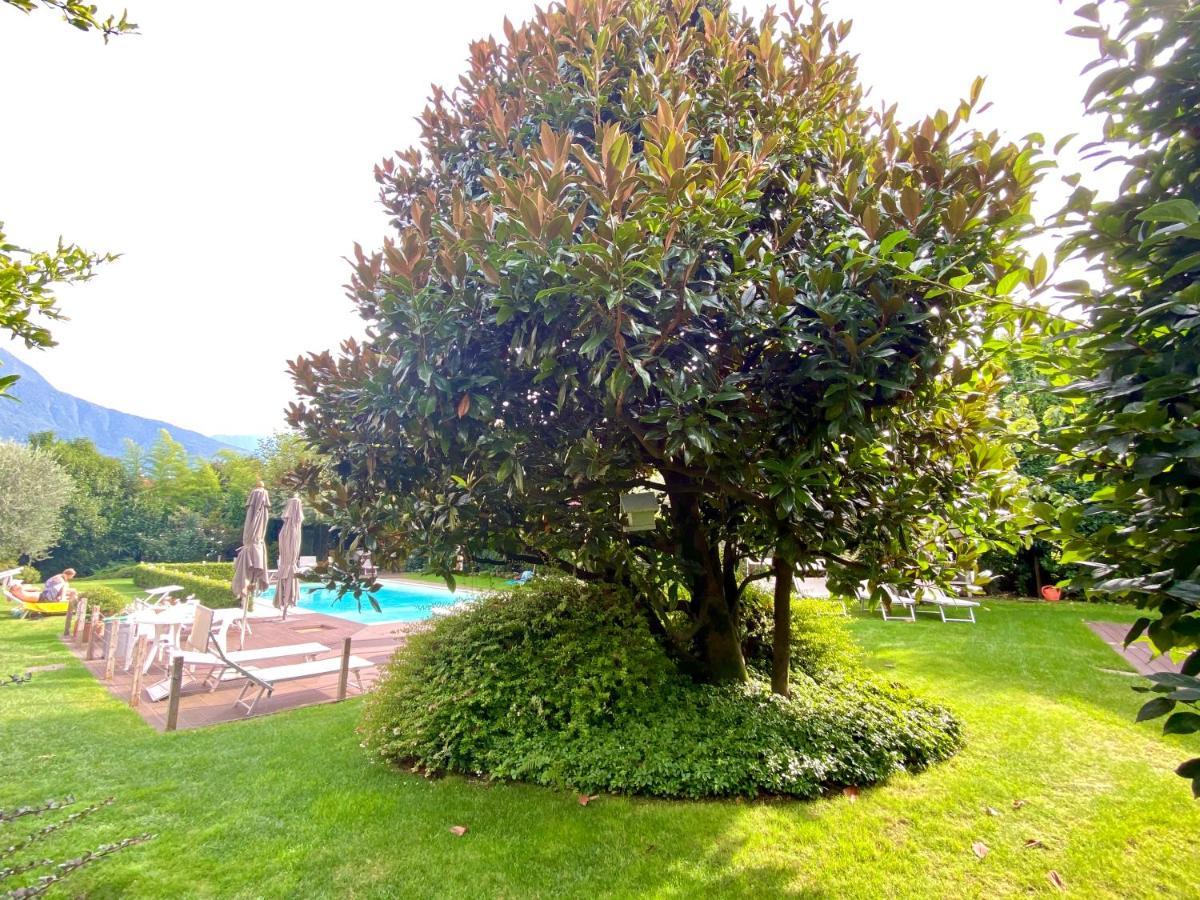 Abies Di Apartment Dongo