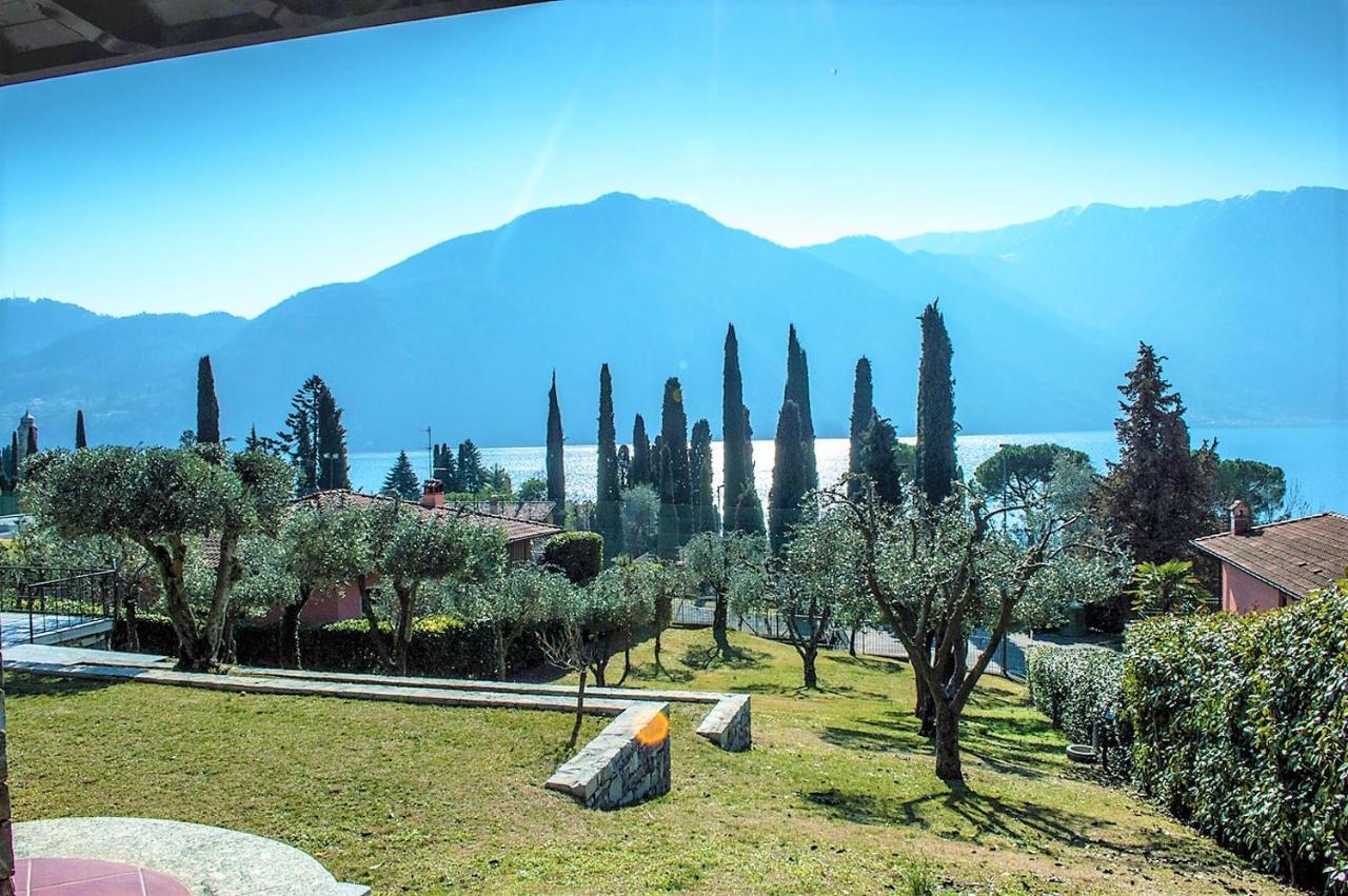 Villa The Olive Grove
