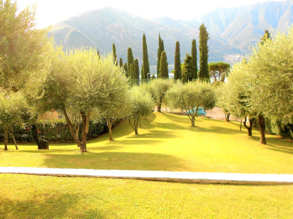 The Olive Grove Villa