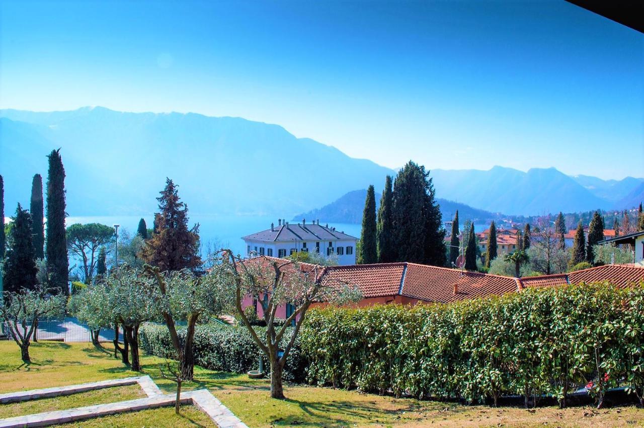 The Olive Grove Villa