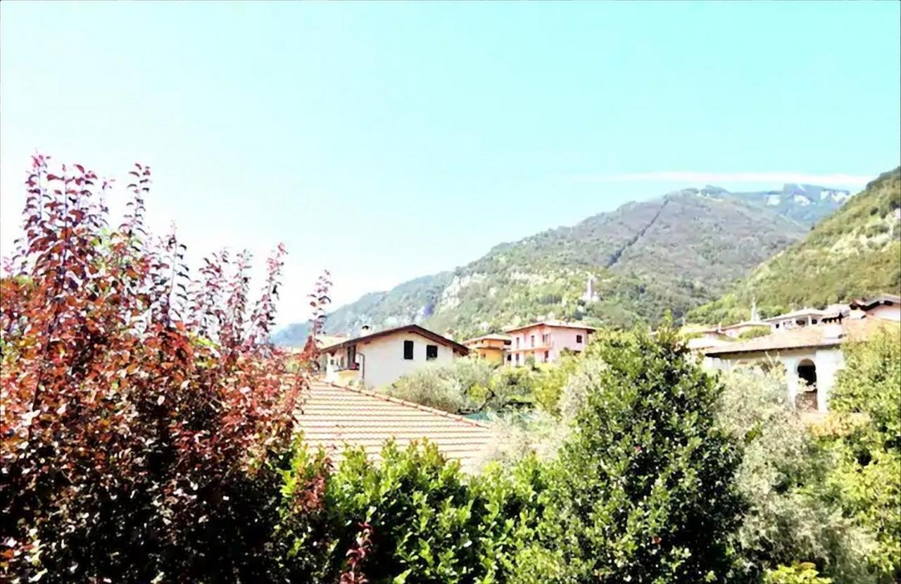 Il Guscio *