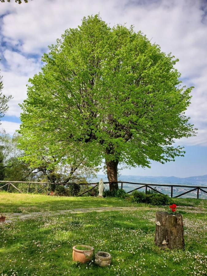 Antica La Tinara Del Belvedere - Romantic Dreams - (adults Only) *
