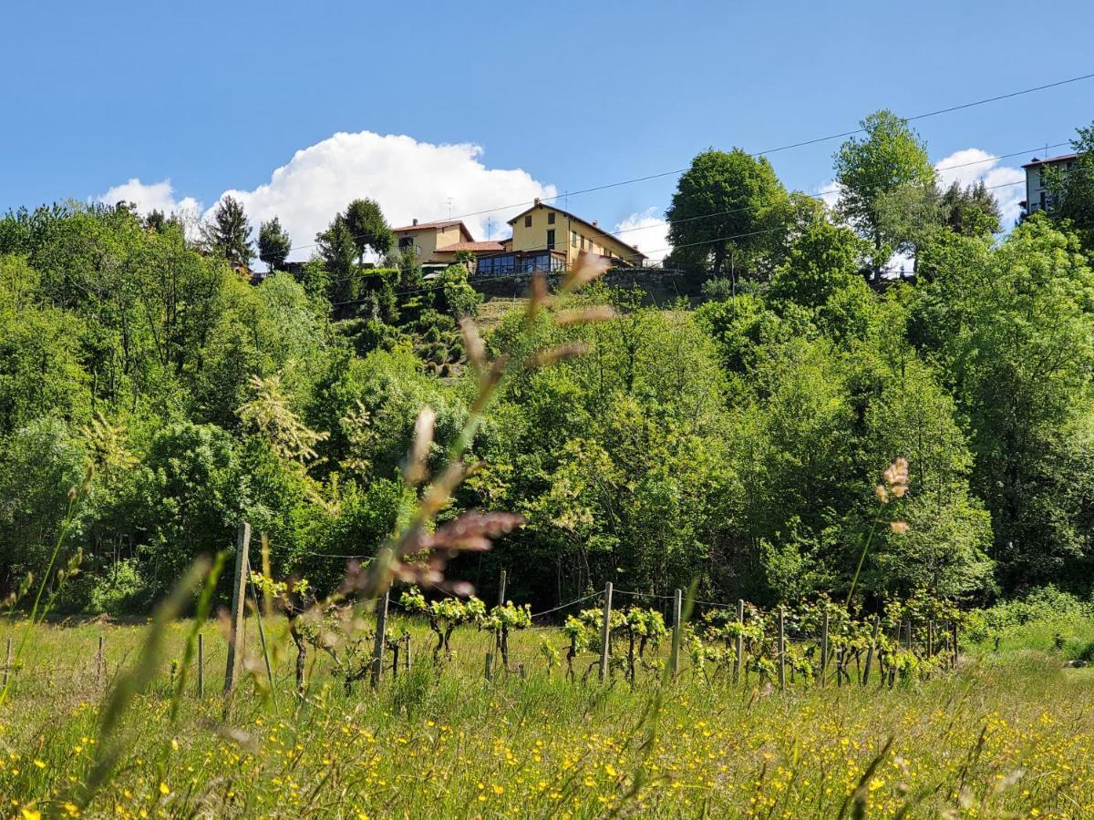 Antica La Tinara Del Belvedere - Romantic Dreams - (adults Only) * Galbiate