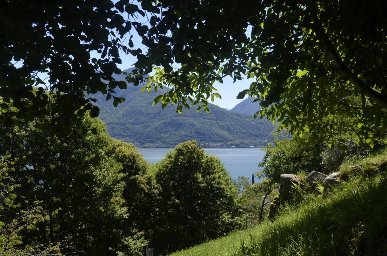 Anma The Secret Garden * Pianello Del Lario