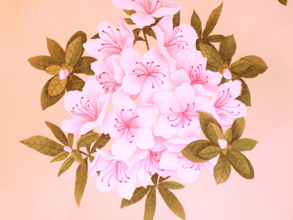 Charming Glicine And Azalea House Art And Colour With Lakeview * Cadenabbia