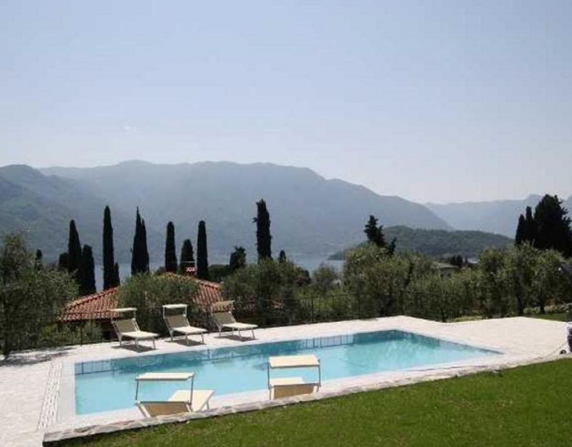 Villa The Olive Grove