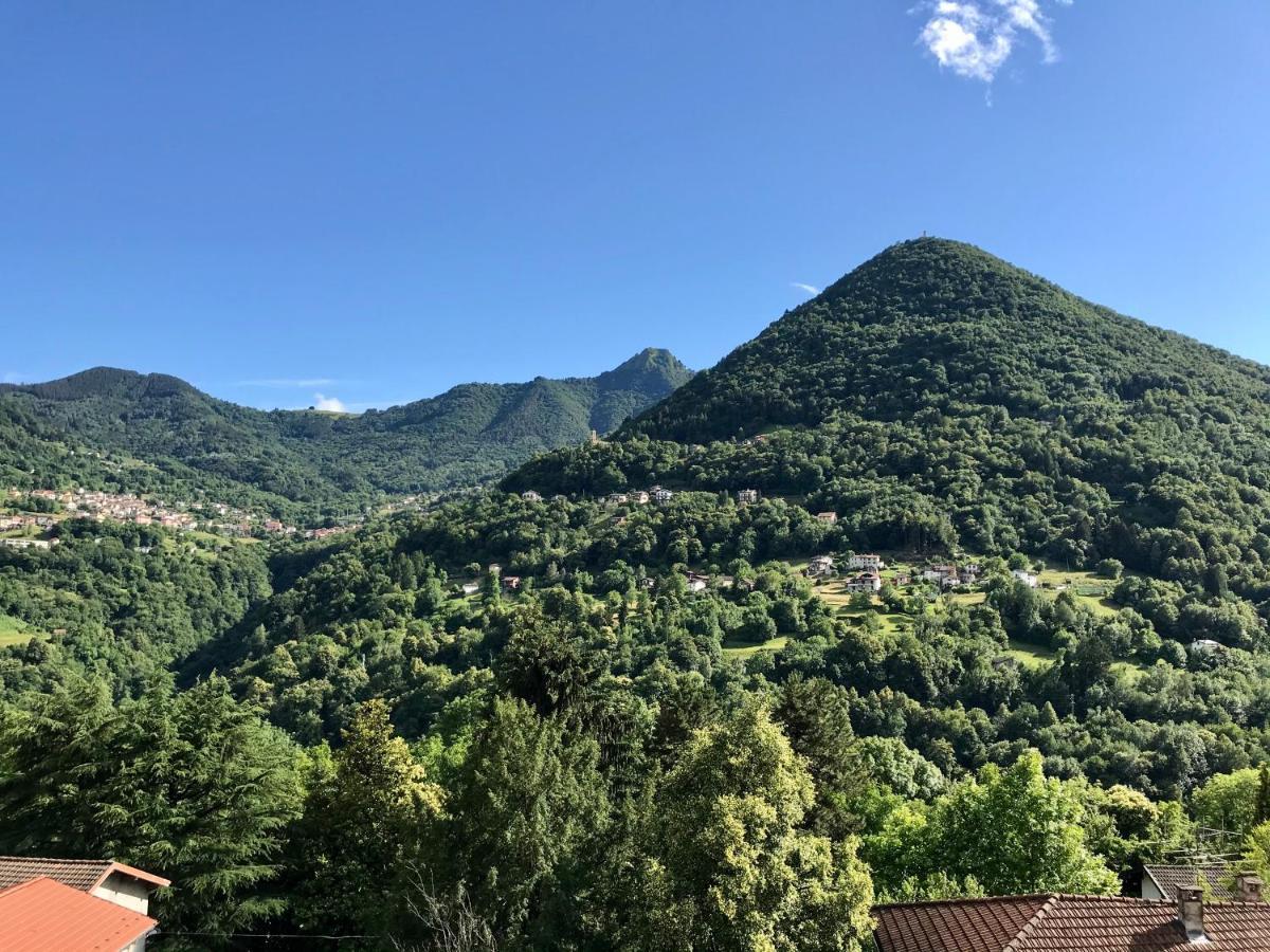 Oleandra Vip With Garden&swimming Pool Lodge Dizzasco