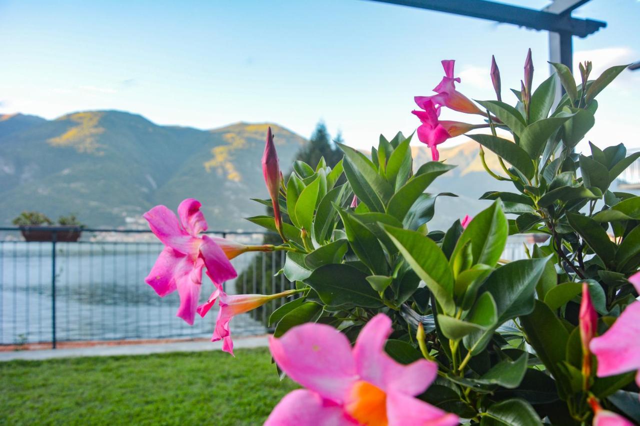 Bellagio Apartment *