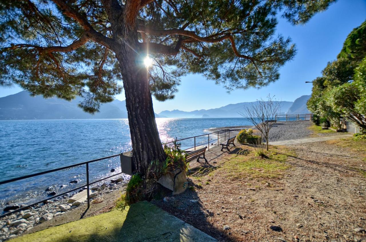 At The Lake * Acquaseria