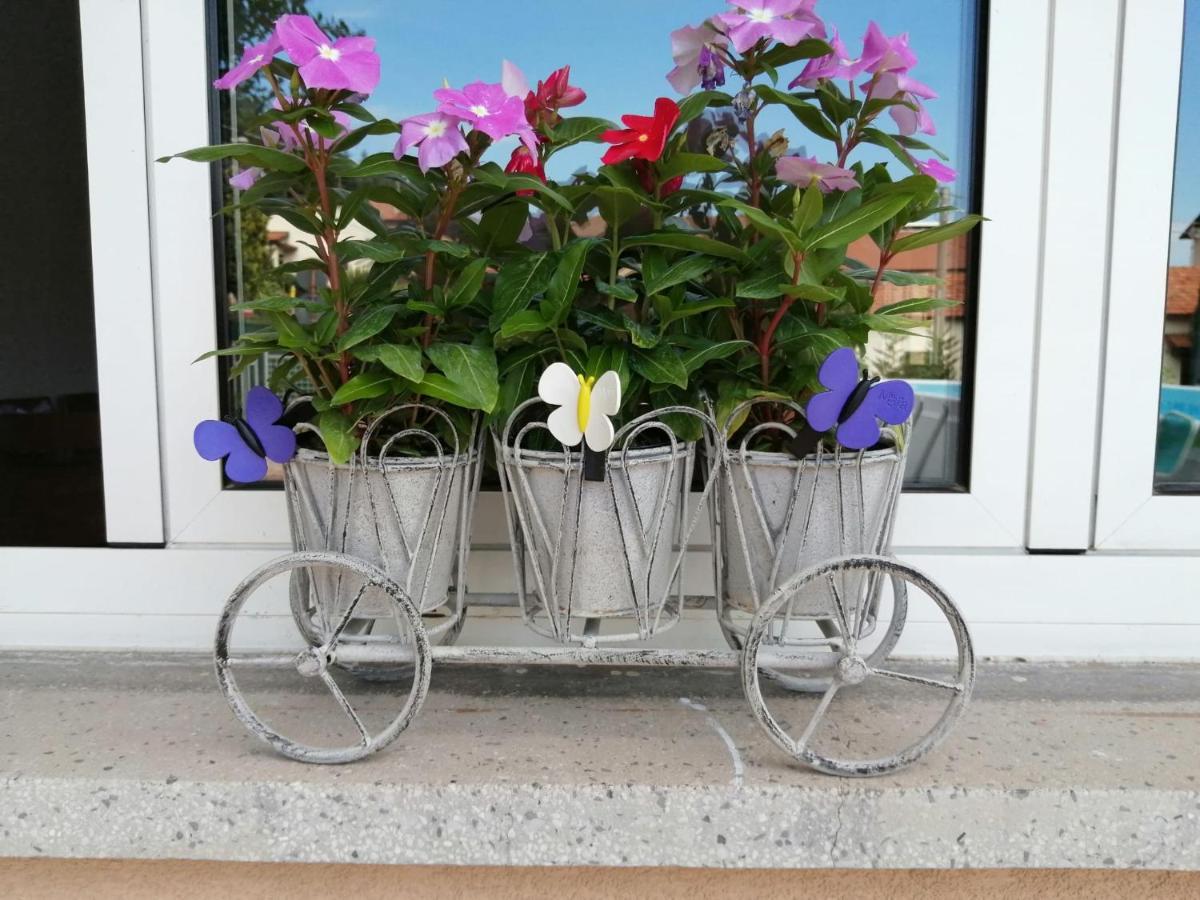 Il Melograno Guest house *