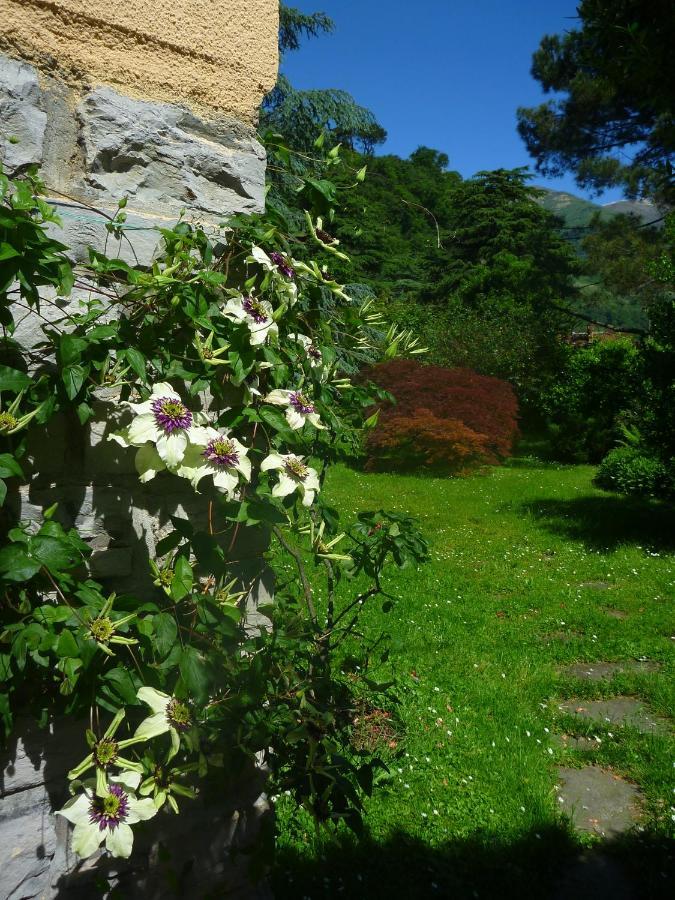 Frühstückspension Casa Peroschi Menaggio