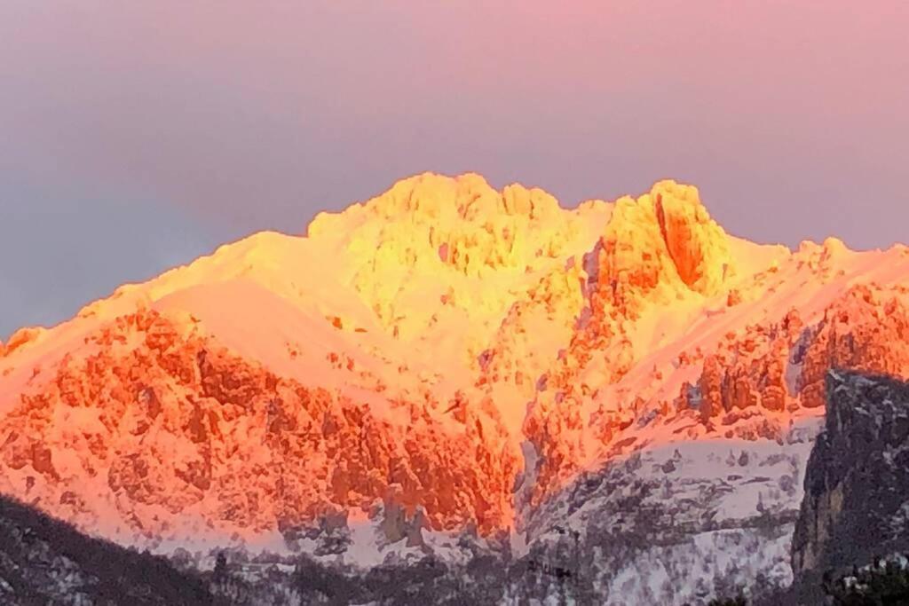 Il Bosco - Vicino Al Lago, Vicino Alle Montagne Ballabio
