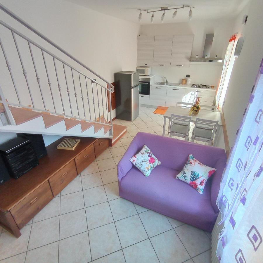 Apartment Little Flower