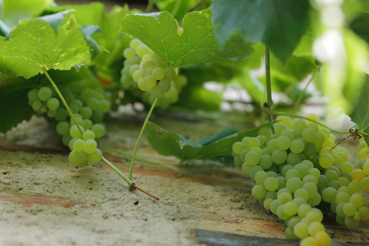 Cascina La Cinciallegra Oggiono