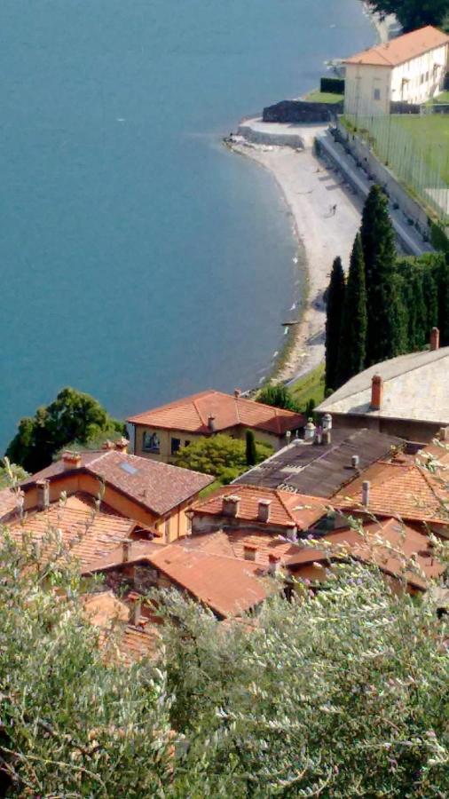Apartment Il Terrazzino Musso