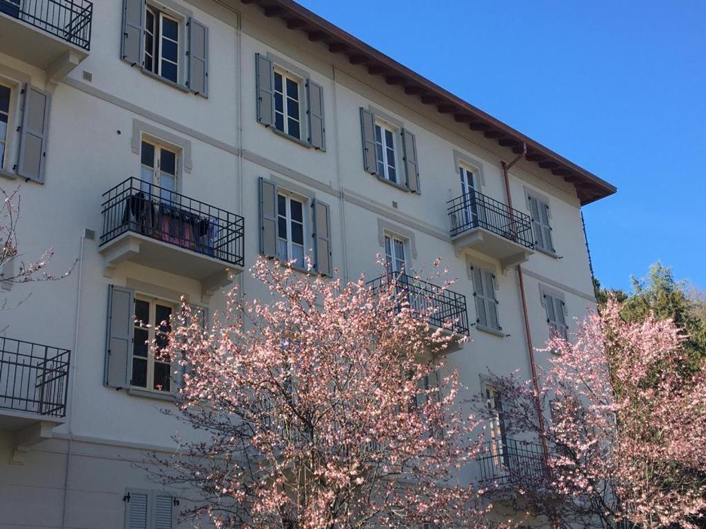 Elegant Sweet Centro