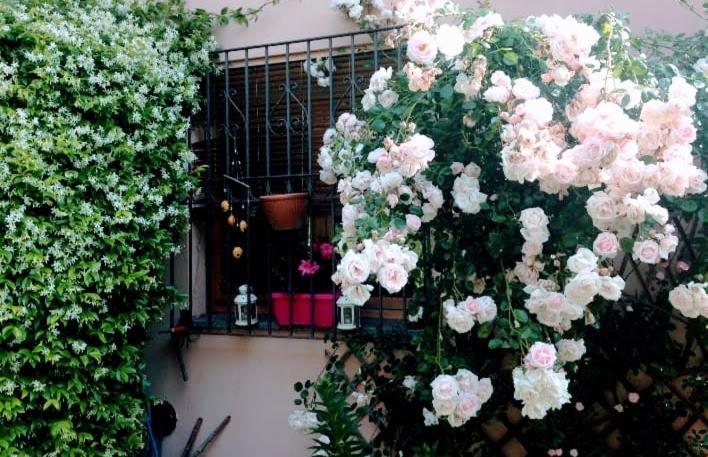 La Terrazza Di Dora *