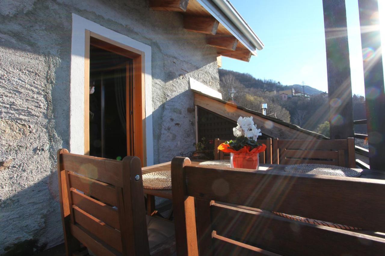 The Cozy Nest -