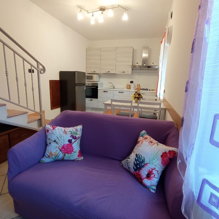 Apartment Little Flower