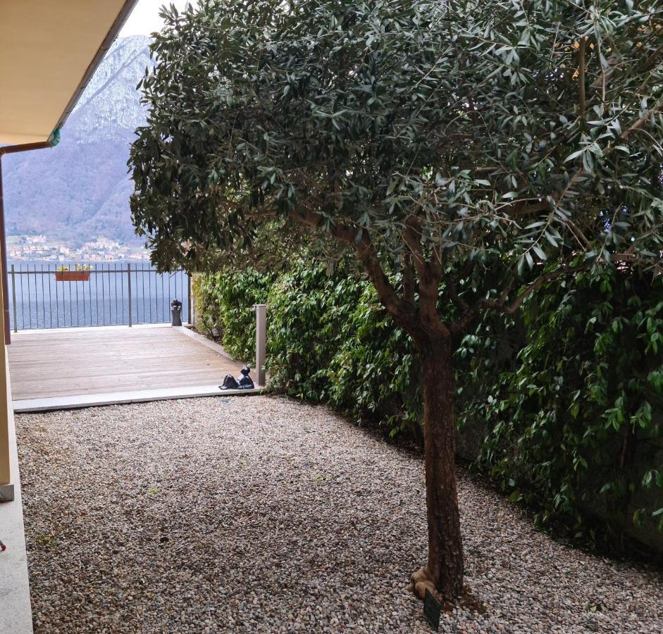 Panoramica Di Appartamento *