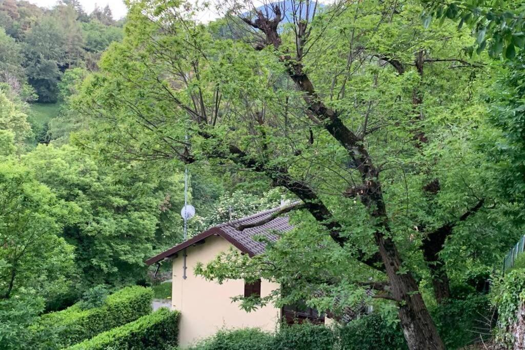 Villa Traditional San Primo Bellagio