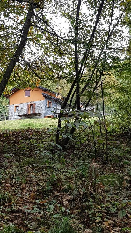 Eleonora Farm stay *