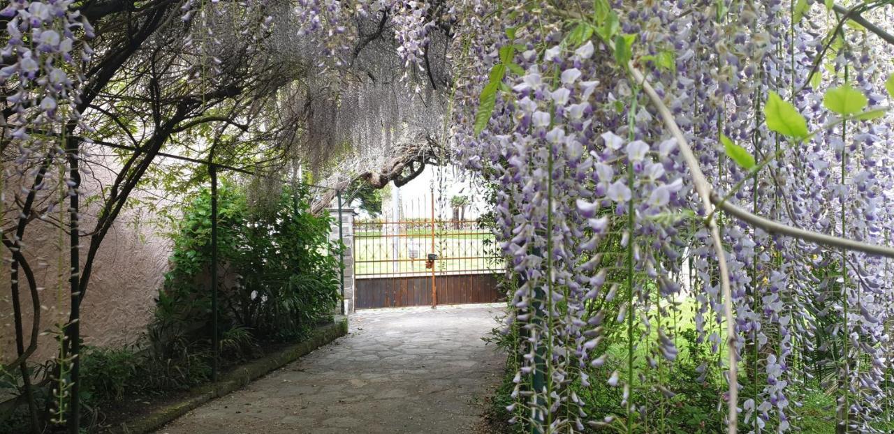 Foreground - Pet Friendly Stay- Garden-parking-lake View- Bike Friendly House