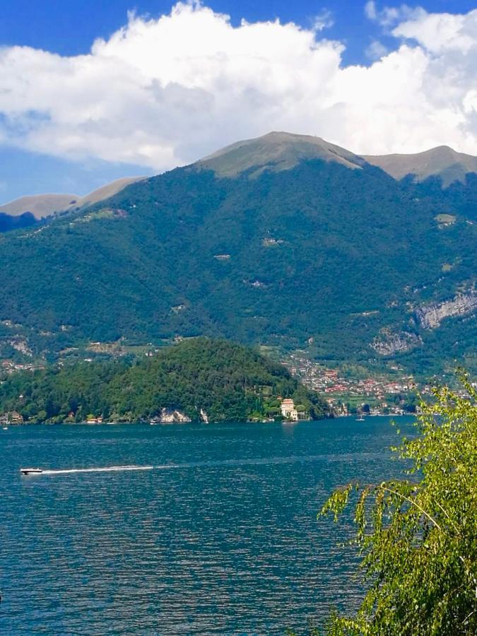 L'agrifoglio