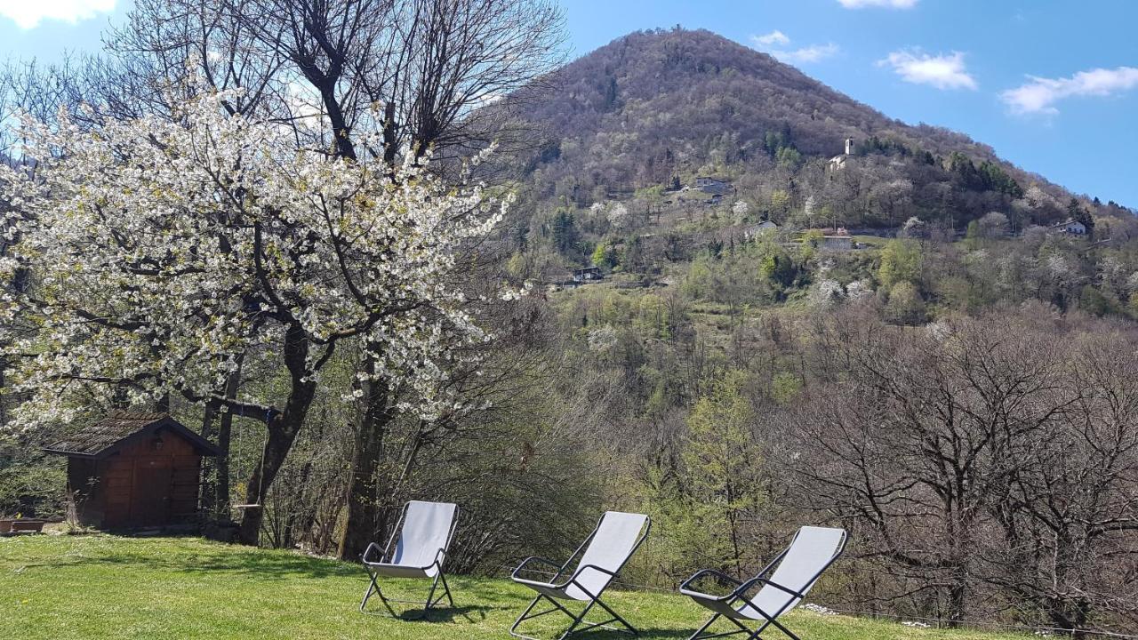 Eleonora Farm stay *