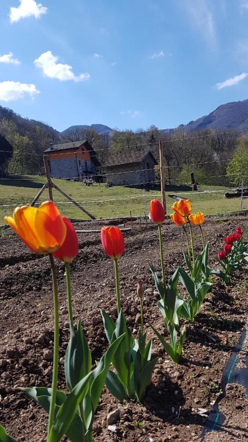Farm stay Eleonora