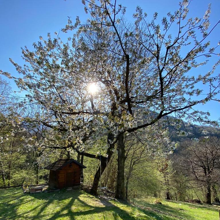 Eleonora Farm stay Argegno