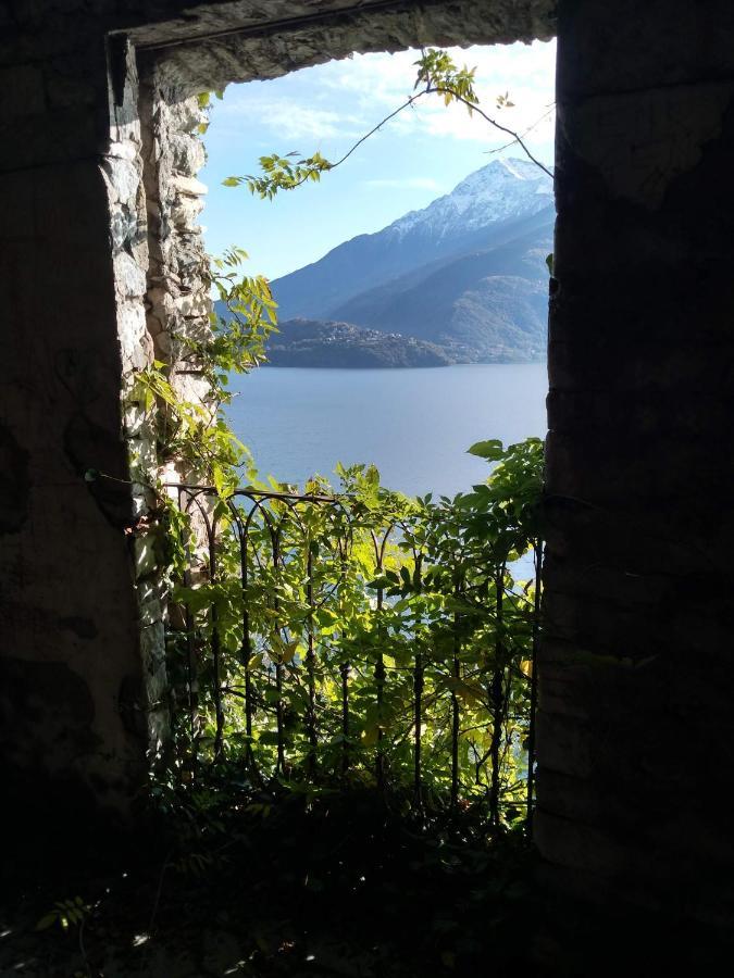 Apartment Il Terrazzino Musso
