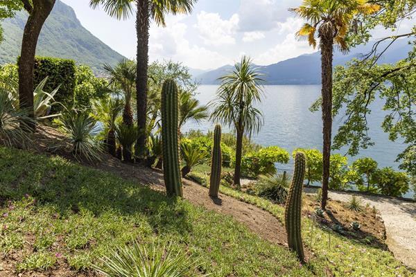 Cipressi Varenna
