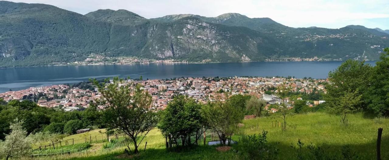 Nido Di Rongio Holiday home Mandello del Lario
