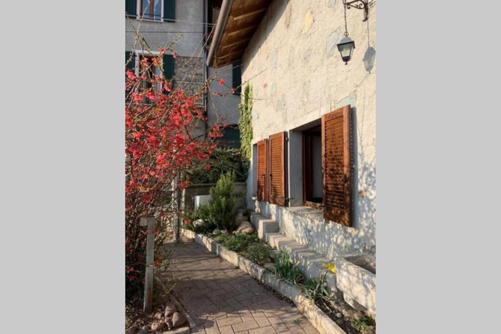Nido Di Rongio Mandello del Lario