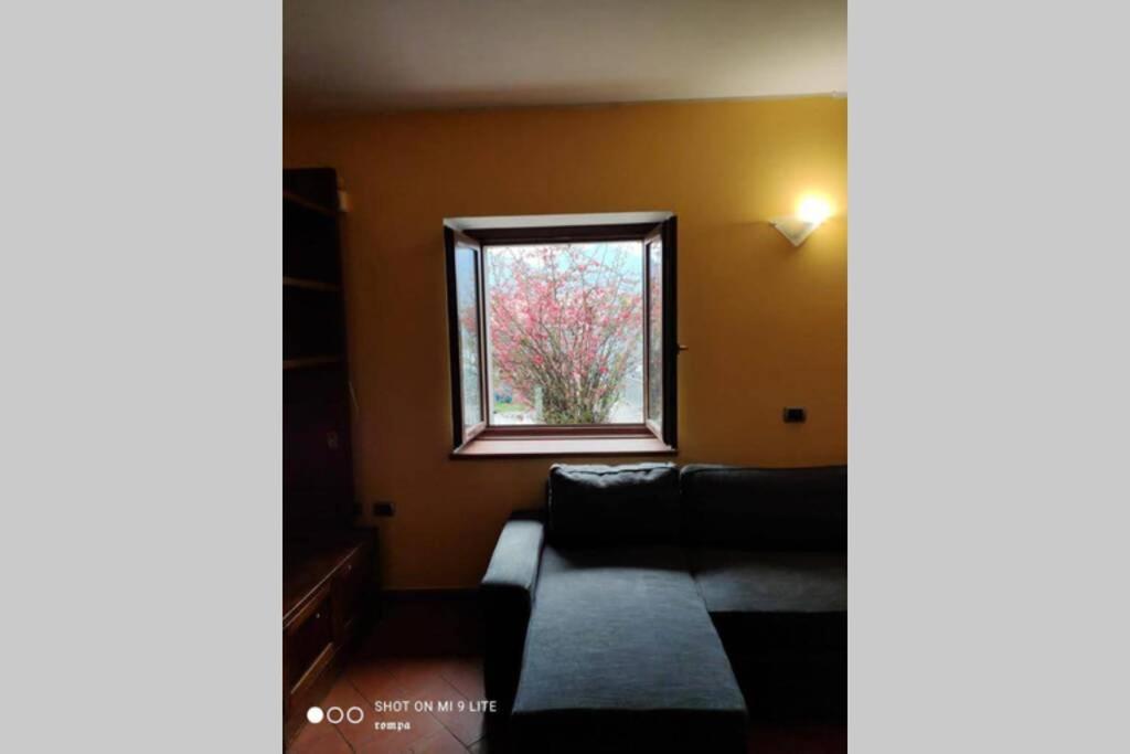 Holiday home Nido Di Rongio Mandello del Lario